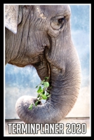 Terminplaner 2020: Jahresplaner von September 2019 bis Dezember 2020 mit Elefant - Planer mit 174 Seiten in wei� im Format A5 mit gl�nzendem Soft Cover. 1704014646 Book Cover