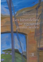 Les hirondelles ne voyagent jamais seules B0DHRDMQ7D Book Cover