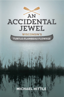 An Accidental Jewel 1942586310 Book Cover