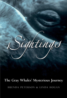 Sightings: The Gray Whales' Mysterious Journey 0792241029 Book Cover