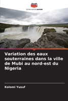 Variation des eaux souterraines dans la ville de Mubi au nord-est du Nigeria 6205719134 Book Cover