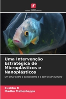 Uma Intervenção Estratégica de Microplásticos e Nanoplásticos (Portuguese Edition) 6207162803 Book Cover