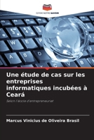 Une étude de cas sur les entreprises informatiques incubées à Ceará (French Edition) 6208204542 Book Cover