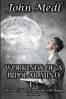 Workings of a Bipolar Mind 1-7 Omnibus: The Inner Mind of someone with Bipolar Disorder B0BR9W8GJ1 Book Cover