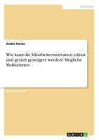 Wie kann die Mitarbeitermotivation erfasst und gezielt gesteigert werden? Mögliche Maßnahmen (German Edition) 3668955050 Book Cover