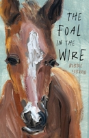 The Foal in the Wire 0734423608 Book Cover