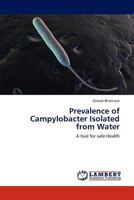 Prevalence of Campylobacter Isolated from Water: A tool for safe Health 3845404353 Book Cover