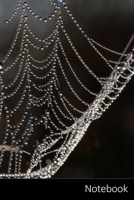 Notebook: Morgentau,  Cobweb,  Dew,  Dewdrop Notebook / Journal / Diary / Composition book - 6 x 9 inches (15,24 x 22,86 cm), 150 pages, glossy finish. 1698527543 Book Cover