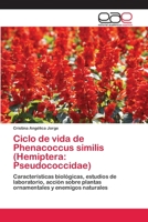 Ciclo de Vida de Phenacoccus Similis (Hemiptera: Pseudococcidae) 3659037710 Book Cover