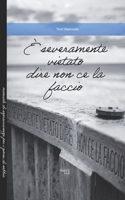 E' severamente vietato dire non ce la faccio (Italian Edition) B0H4QCDL59 Book Cover