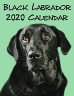 Black Labradors Calendar 2020 1655623125 Book Cover
