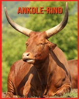 Ankole-Rind: Schöne Bilder & Kinderbuch mit interessanten Fakten über Ankole-Rind B08WP3L2PX Book Cover