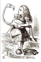 Microdosing Journal - Wonderland: Track Your Psychedelic Microdosing Experiences 1793087687 Book Cover