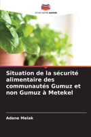 Situation de la sécurité alimentaire des communautés Gumuz et non Gumuz à Metekel 6204099663 Book Cover