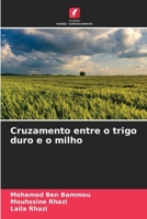 Cruzamento entre o trigo duro e o milho 6205958368 Book Cover