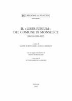 Il «Liber iurium» del comune di Monselice (secoli XII-XIV) 888334183X Book Cover