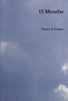 13 Months 0359520278 Book Cover