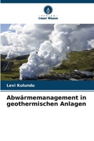 Abwärmemanagement in geothermischen Anlagen 6207308506 Book Cover
