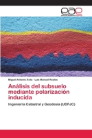 Analisis del Subsuelo Mediante Polarizacion Inducida 365907490X Book Cover