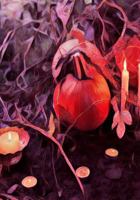 Halloween Activity Book 1723990795 Book Cover