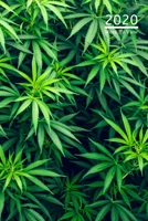 A5 2020 Diary Week To View Paperback Cover With Alternative Design: Cannabis Plants Growing Year Planner For Business, Office, Home, University, College, School, Appointments, Organizer. 1691068683 Book Cover