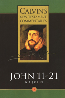 The Gospel according to St. John, 11-21 and the First Epistle of John 080282045X Book Cover