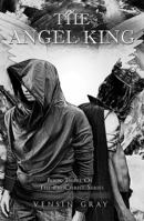 The Angel King: Book Three of the ProChrist Series 147878878X Book Cover