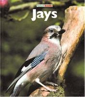 Jays (Naturebooks) 1567665918 Book Cover