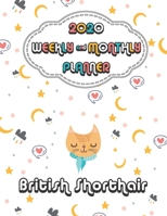 2020 British Shorthair Cat Planner : Weekly & Monthly with Password list, Journal calendar for British Shorthair Cat owner: 2020 Planner /Journal Gift,133 pages, 8.5x11, Soft cover, Mate Finish 1676225811 Book Cover