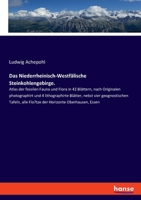 Das Niederrheinisch-Westfälische Steinkohlengebirge.: Atlas der fossilen Fauna und Flora in 42 Blättern, nach Originalen photographirt und 4 ... Horizonte Oberhausen, Essen (German Edition) 333759798X Book Cover