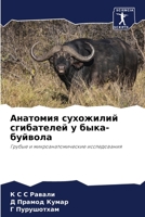 Анатомия сухожилий сгиб& 6205369516 Book Cover