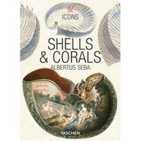 Seba, Shells & Corals (Icons) 3822832529 Book Cover