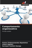 Comportamento organizzativo: Principi e pratica (Italian Edition) 6207586662 Book Cover