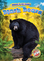 Black Bears 1644871254 Book Cover