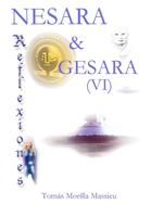 NESARA & GESARA... Reflexiones B0CC43XD6K Book Cover