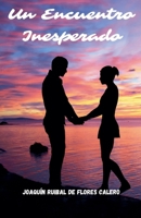 Un Encuentro Inesperado (Spanish Edition) B0CVPL9M4C Book Cover
