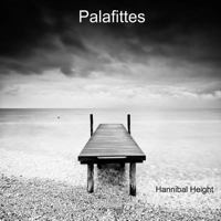 Palafittes 0244986517 Book Cover
