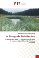 Les Étangs de Stabilisation 6203428108 Book Cover