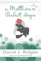 A Mother's Perfect Hope 1462113680 Book Cover