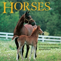 Horses (All Aboard Books) 0448417359 Book Cover