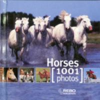 1001 Photos Cubebook Horses 9036622514 Book Cover