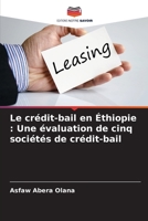 Le crédit-bail en Éthiopie: Une évaluation de cinq sociétés de crédit-bail 620687866X Book Cover
