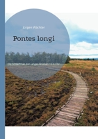 Pontes longi: Die Schlacht an den langen Brücken 15 n. Chr. (German Edition) 3819229620 Book Cover