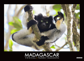 MADAGASCAR 4883501779 Book Cover