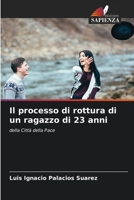 Il processo di rottura di un ragazzo di 23 anni 6204102680 Book Cover