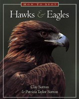 How to Spot Hawks and Eagles (How to Spot) 1576300005 Book Cover