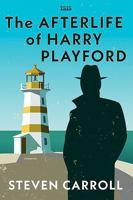 The Afterlife of Harry Playford (Stephen Minter) 1399184350 Book Cover