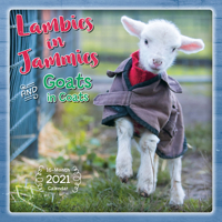 2021 Lambies in Jammies & Goats in Coats 16-Month Wall Calendar 1531910173 Book Cover