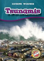Tsunamis 1626174687 Book Cover
