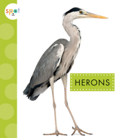 Herons 164549098X Book Cover